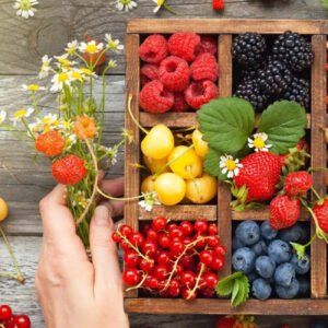 Retesnieji sodo augalai